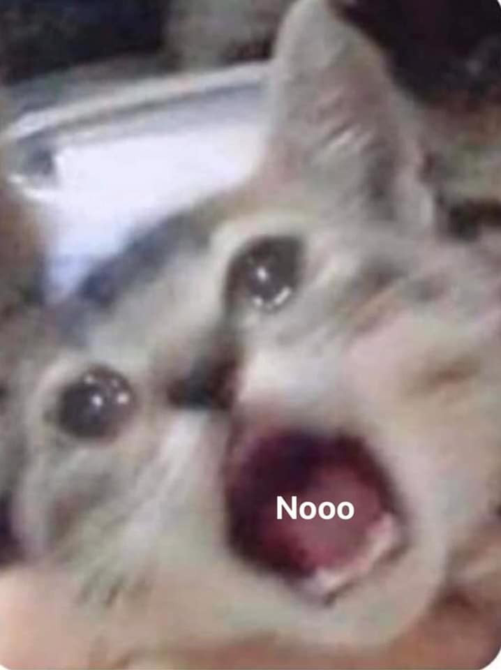 Blurred cat crying and saying NO meme - Keep Meme