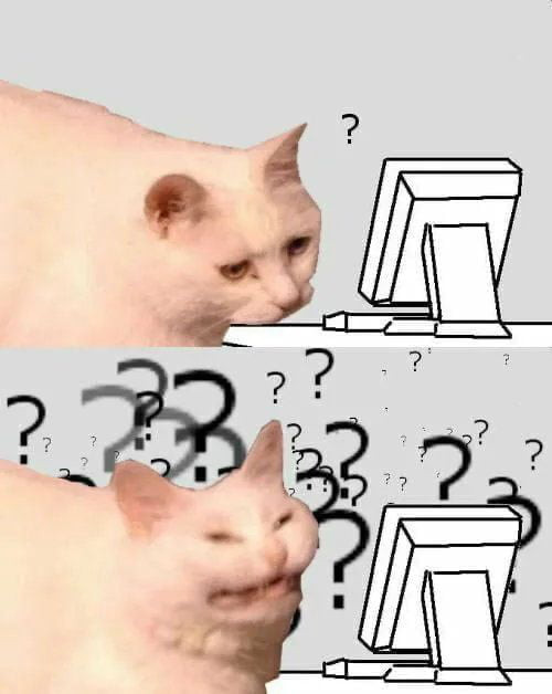 Confused cat looking at computer with a lot of question marks meme