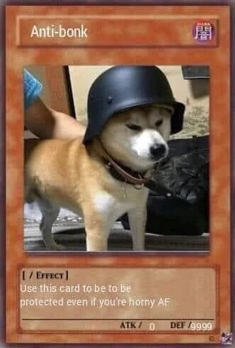 Anti-bonk card dog wearing helmet meme