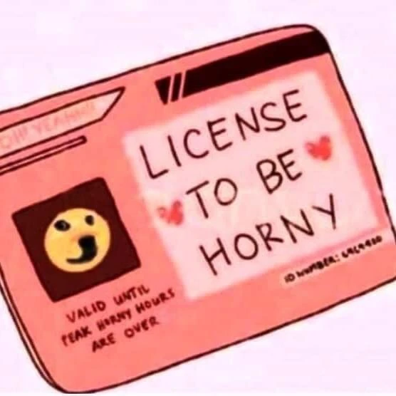 License to be horny card meme