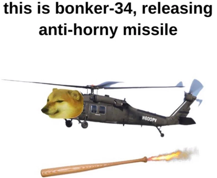 This is bonker-34 releasing anti-horny missile helicopter dog bonk meme