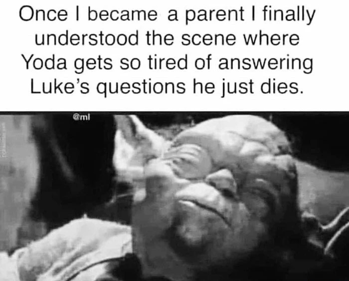 Once I became a parent I finally understood the scene Yoda gets so tired of answering Luke's questions he just dies meme