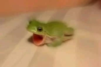 Surprised green frog with mouth wide open meme