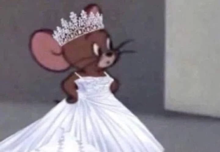 Jerry mouse wearing white wedding dress meme