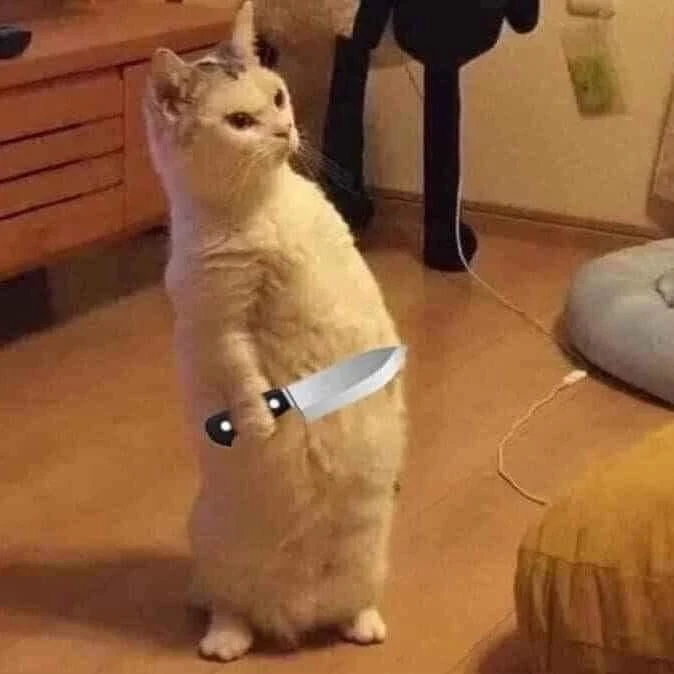 Cat standing on 2 legs holding a knife meme