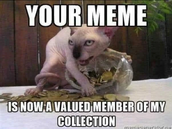 Your meme is now a valued member of my collection - cat collecting pennies meme