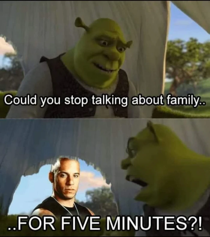 Could you stop talking about family... for five minutes - Shrek vs Vin Diesel meme