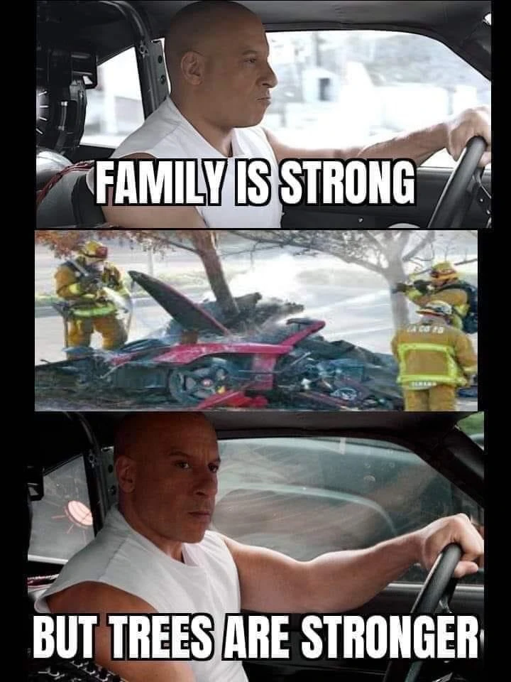 Family is strong but trees are stronger Vin Diesel car crash meme