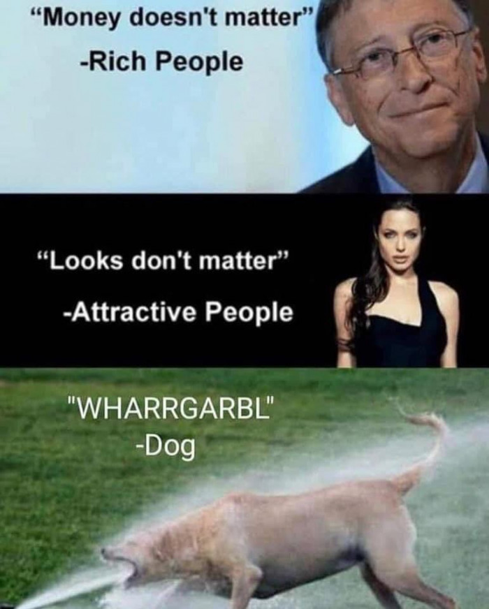 "Money doesn't matter" - Rich People. "Looks don't matter" - Attractive People. "Wharrgabrl - Dog