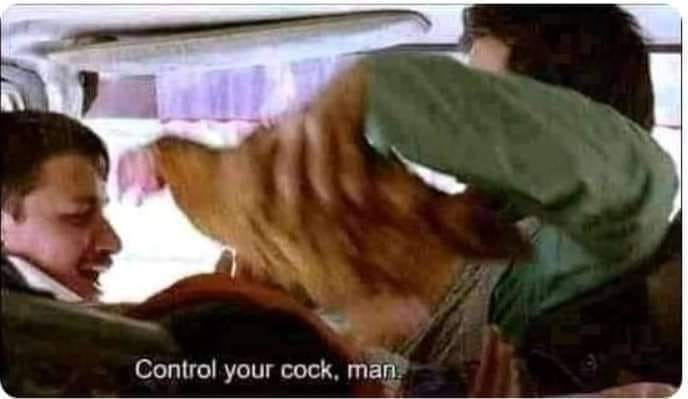 Control your cock, man - man with cock on bus meme