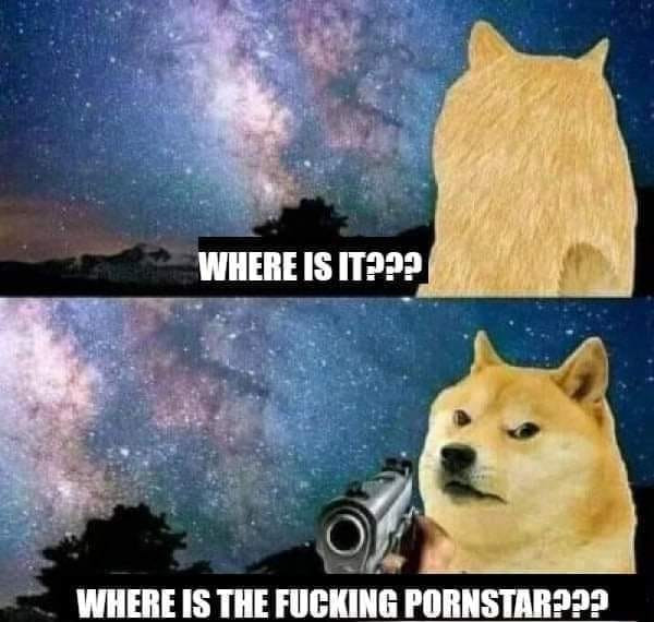 Where is it? Where is the fucking pornstar?